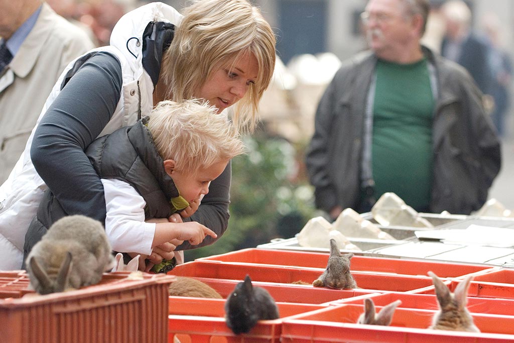 ZieZo! | Kleindierenmarkt Barneveld verhuist naar Midden Nederland Hallen